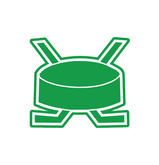 HOCKEYPUCK W STICKS