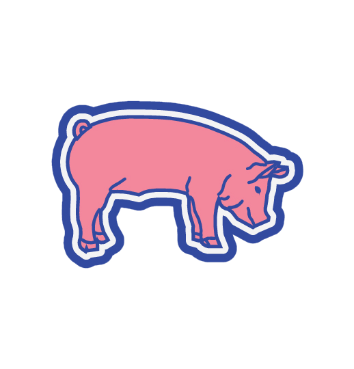 PIG