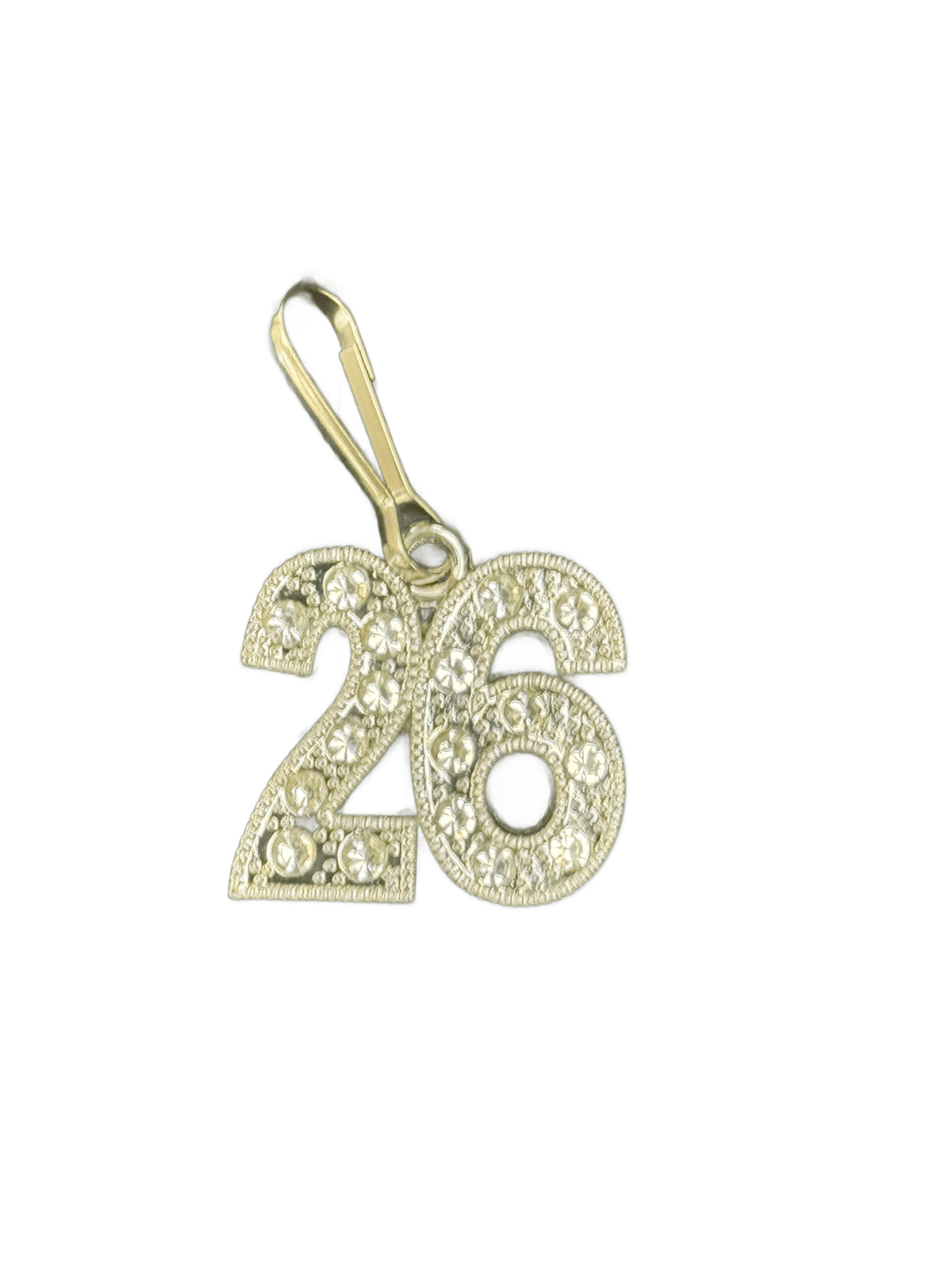 2026 Bling Zipper Clipper NEW