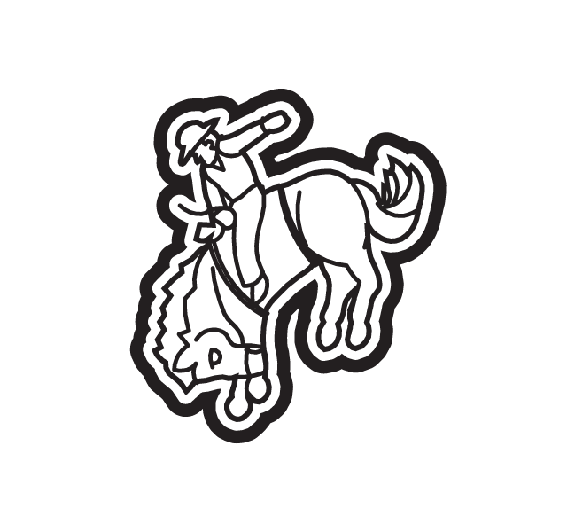 BAREBACK RIDER