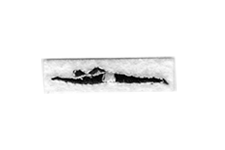MALE SWIMMER