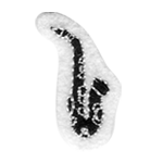 SAX