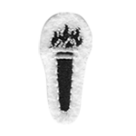TORCH